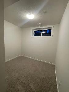LEGAL BASEMENT SUITE FOR RENT - Livingston NW - Photo 7
