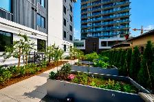 COMING TO MARKET TOMORROW 106-1115 Johnson St - Photo 6