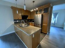 Well - Maintained 3 Bedroom Duplex for rent! - Photo 4