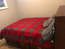 Legal Basement Suite room available for rent on July 1st , 2026 - Photo 8