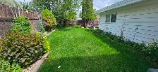 Big / Sunny / 3 Bed / 1 Bath / Inc Utilities /  $1650 - Photo 3