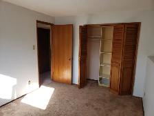 Big / Sunny / 3 Bed / 1 Bath / Inc Utilities /  $1650 - Photo 9
