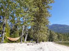 MABEL LAKE WATERFRONT ACREAGE! 200ft of SANDY BEACH! - Photo 6