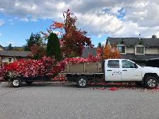 Micheal’s Yard Services looking for a lead hand in Salmon Arm BC