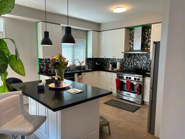 Kitchen Cabinet Painting (Sprayer)