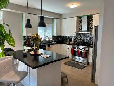 Kitchen Cabinet Painting (Sprayer)