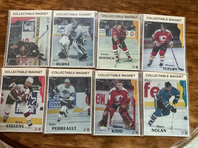 8. 1996 Maggers NHL Collectable Magnets !