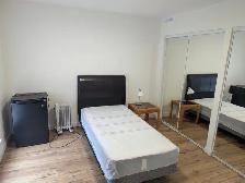 Furnished rooms (x2) for rent in Varsity - Photo 21
