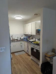 Furnished rooms (x2) for rent in Varsity - Photo 24