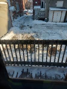 1 Bedroom Sandy Hill Apartment for Rent (508 Besserer St) - Photo 2