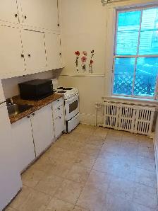 1 Bedroom Sandy Hill Apartment for Rent (508 Besserer St) - Photo 10
