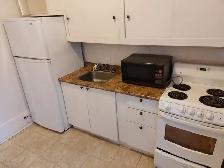 1 Bedroom Sandy Hill Apartment for Rent (508 Besserer St) - Photo 11