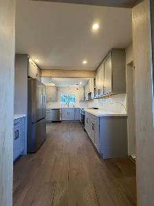 Kitchen Cabinets Big Sale