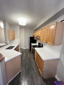 Kitchen Renovation cabinets Countertops Affordable - Photo 6