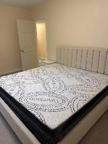 FURNISHED ROOM FOR RENT IN RICHMOND HILL - Photo 3