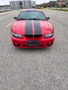 1999 Mustang Cobra SVT - Photo 2