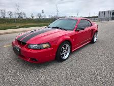 1999 Mustang Cobra SVT - Photo 6