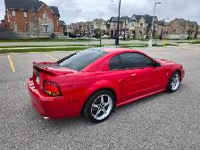 1999 Mustang Cobra SVT - Photo 8