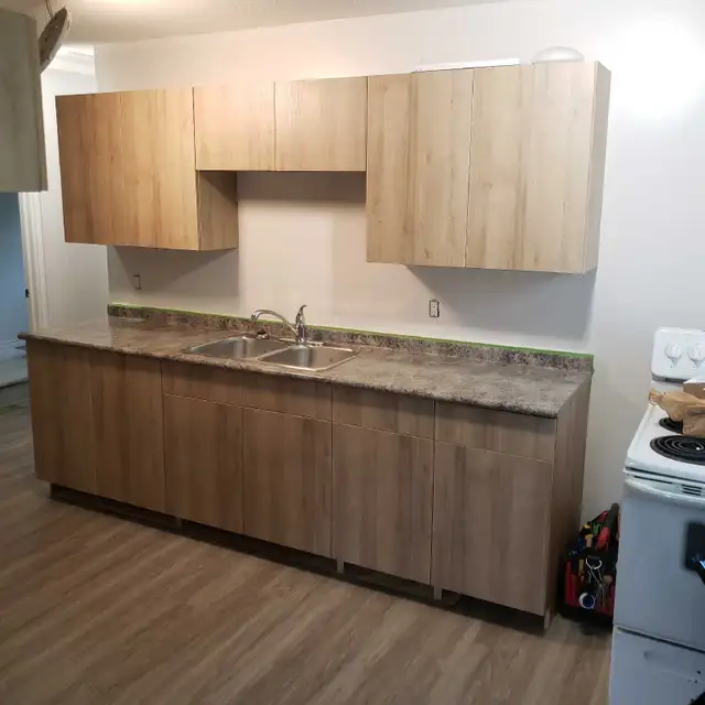 Renovation/Restoration Worker