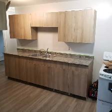 Renovation/Restoration Worker