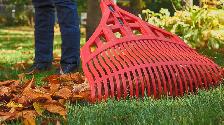 Lawn raking