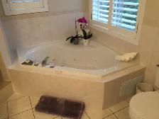 Luxury 4 BR Detached House for Rent in Prime Location Newmarket - Photo 12