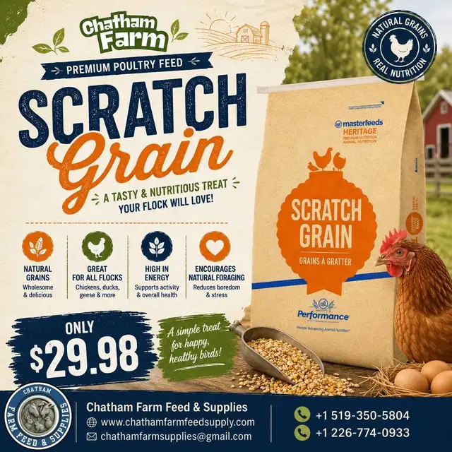 Masterfeed Scratch Grain