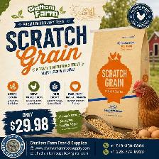 Masterfeed Scratch Grain