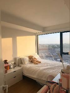 Lease transfer 880 ave Carson - Photo 4