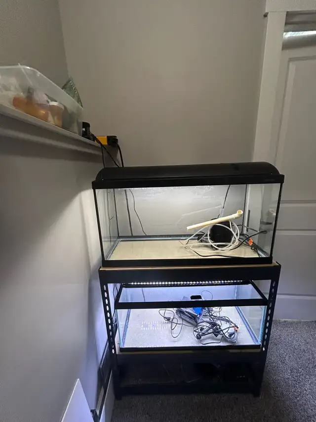 2 20 Gallon long Aquarium