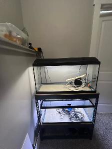 2 20 Gallon long Aquarium