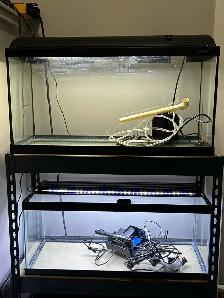 2 20 Gallon long Aquarium - Photo 4