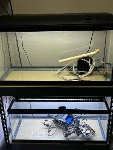 2 20 Gallon long Aquarium - Photo 5