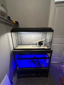 2 20 gallon long aquarium - Photo 2