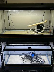 2 20 gallon long aquarium - Photo 6