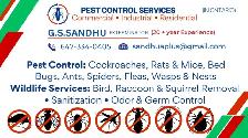 RODENT/MICE/RAT,COCKROACHES, WILDLIFE REMOVAL ON CALL 647-334-04 - Photo 5