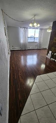 bedroom 1livingroom 1den 1bath Apartment Rent Near Albion Mall - Photo 3