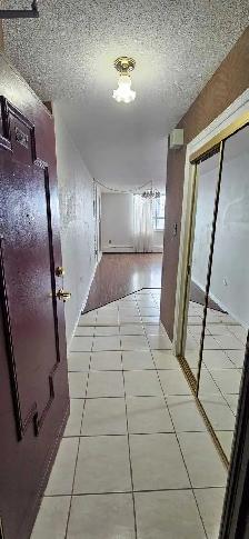 bedroom 1livingroom 1den 1bath Apartment Rent Near Albion Mall - Photo 4