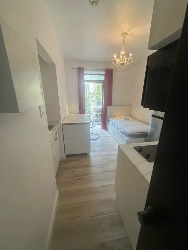 Furnished New Studio - DOWNTOWN