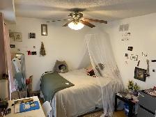 University of Guelph area student housing / rental - Photo 7