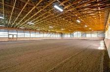 Horse Boarding - Photo 3