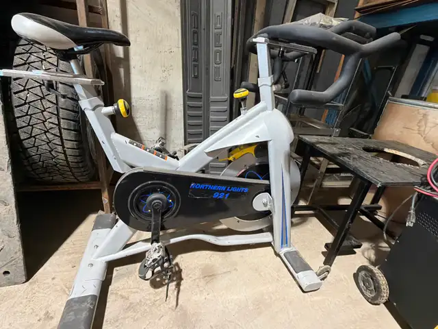 Northern Lights 921 Exercise Bike