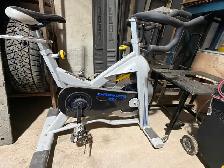 Northern Lights 921 Exercise Bike