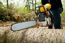 Lawn Maintenance/Landscape Laborer - Photo 4