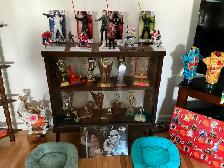 Collections de sports - Photo 4