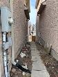NEWMARKET ONE BEDROOM WALKOUT BASEMENT APPARTMENT FOR RENT - Photo 2