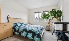 Private room for rent in townhome - Photo 14