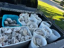 free concrete