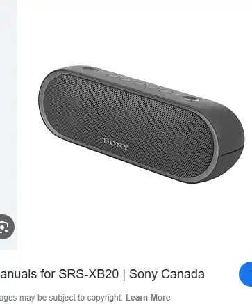 Sony Wireless Speaker