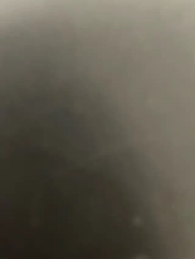 Female cleaner